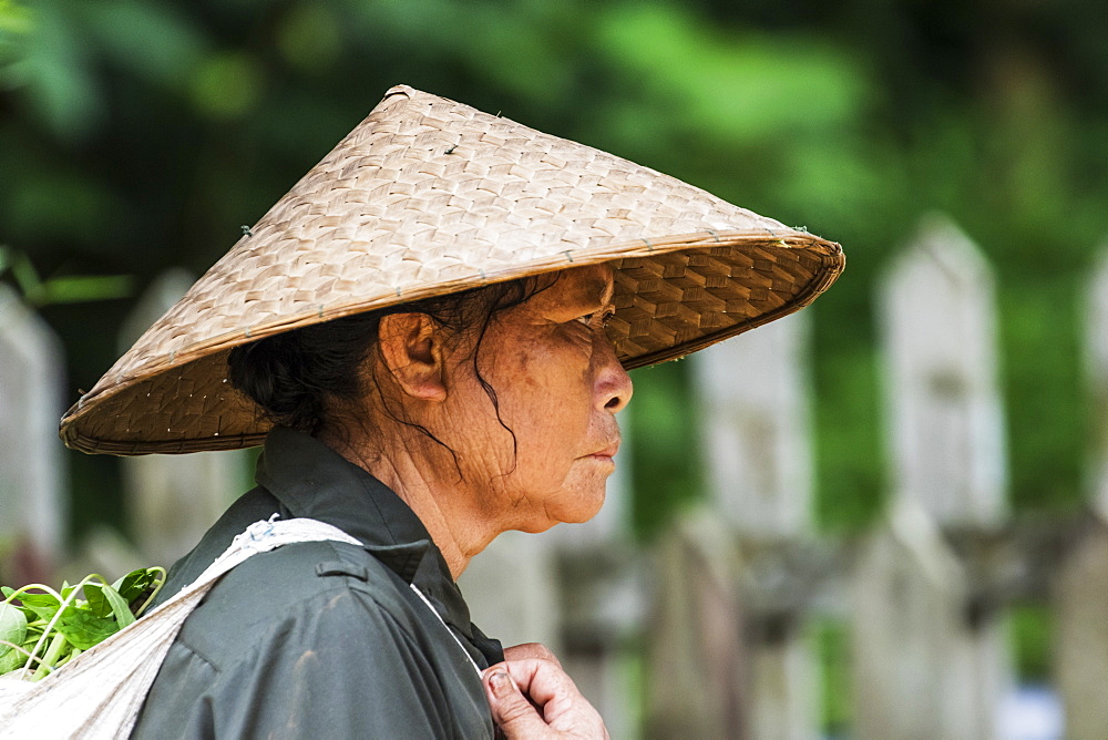 Portrait of the profile of a senior woman wearing a woven conical hat, Elephant Village, Luang Prabang, Laos