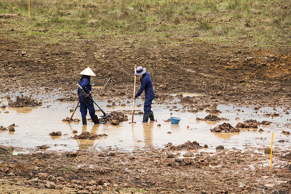 Women using a metal detector while clearing landmines in a field near Phonsavan, Xiangkhouang, Laos