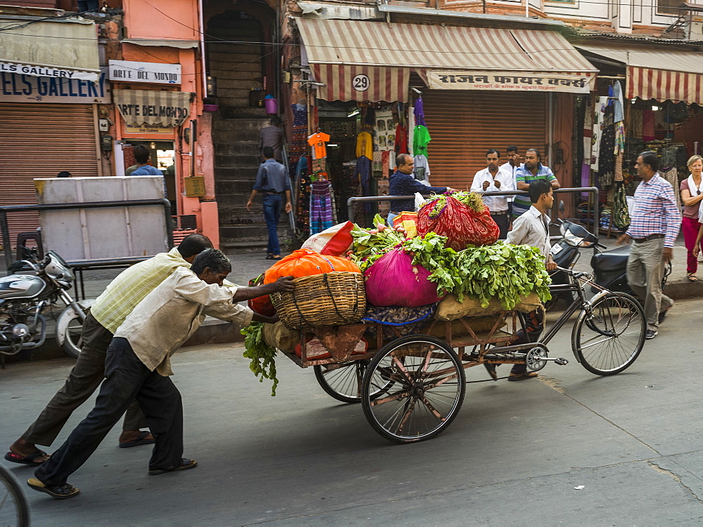 Men push a cart full of fresh produce down the street, Jaipur, Rajasthan, India