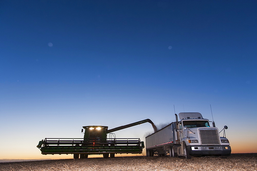 Twilight scene of combine unloading beans into grain truck during soybean harvest, near Nerstrand, Minnesota, United States of America