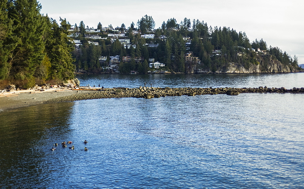 Whytecliff Park, Horseshoe Bay, British Columbia, Canada