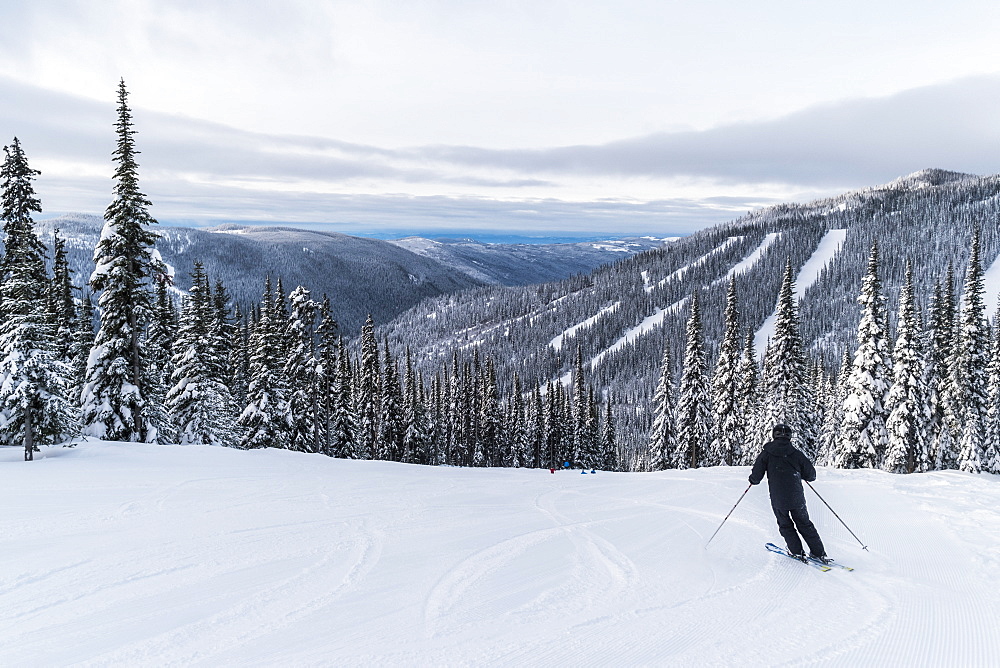 Skier on a run at Sun Peaks ski resort, Kamloops, British Columbia, Canada