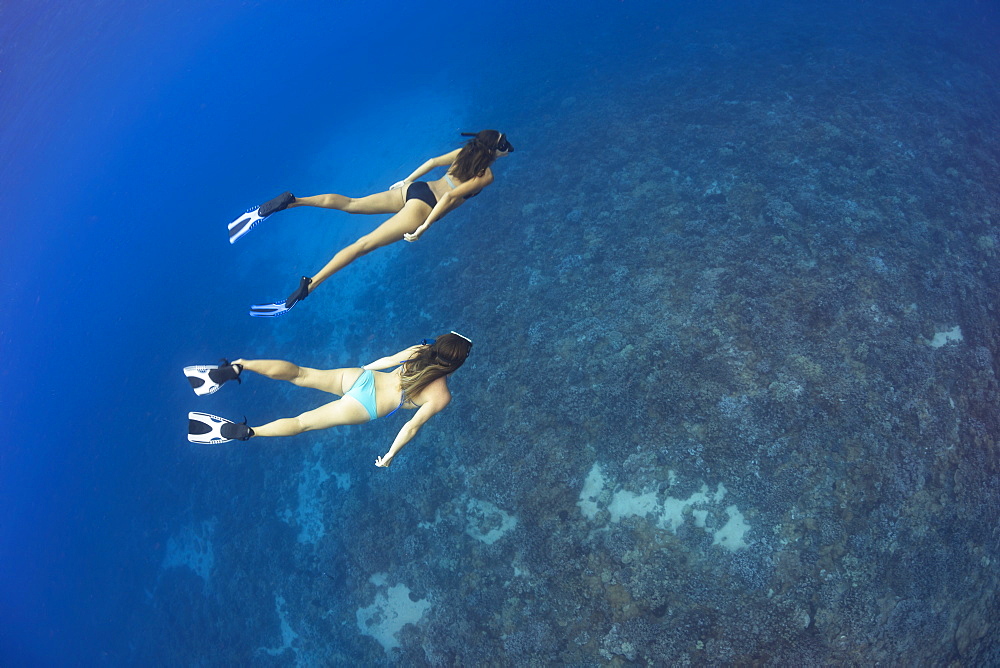 Two women free diving at Molokini Marine Preserve off the island of Maui, Maui, Hawaii, United States of America