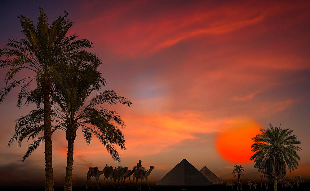 Composite image of silhouetted pyramids, palm trees and a soldier with camels at sunset