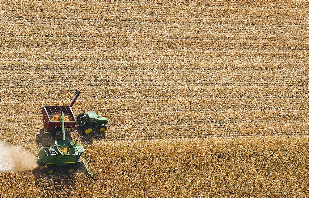 A combine harvester unloads soybeans into a grain wagon on the go during the harvest, near St. Adolphe, Manitoba, Canada