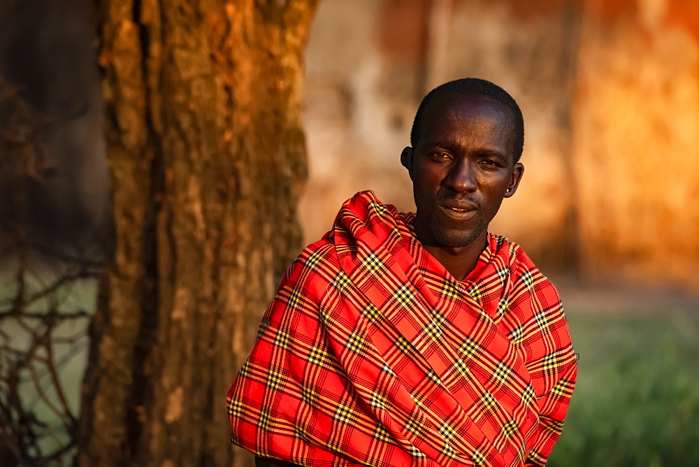 Close-up portrait of Masai man in shuka by tree, Tanzania