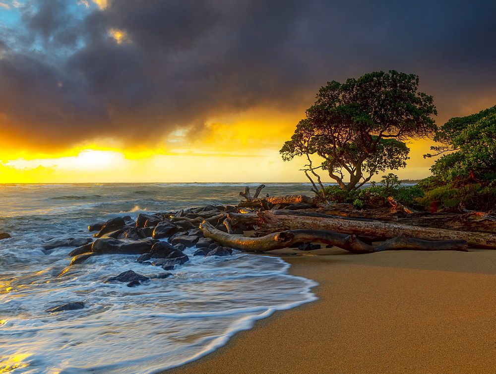 Sunrise over driftwood and rocks on a Hawaiian shore, Kauai, Hawaii, United States of America
