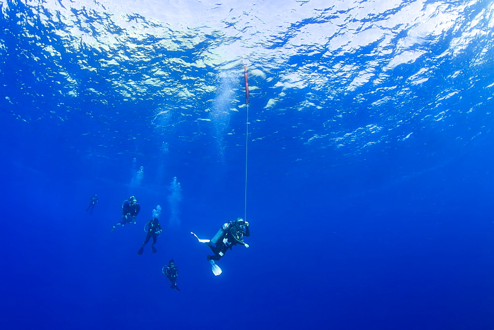 Divers pictured hanging at 15 feet for a decompression stop before surfacing. The diver in the lead has released a safety float to mark their position to boats above, Maui, Hawaii, United States of America