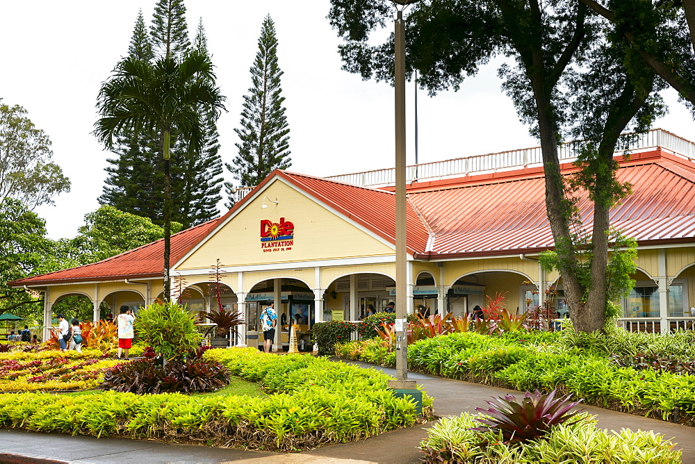 Dole Pineapple Plantation, Oahu, Hawaii, United States of America