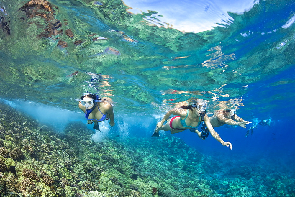 Three young people free diving over a Hawaiian reef, Hawaii, United States of America