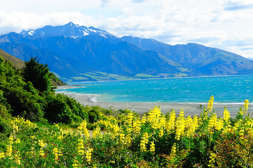 Lake Te Anau, Southland, South Island, New Zealand, Pacific 