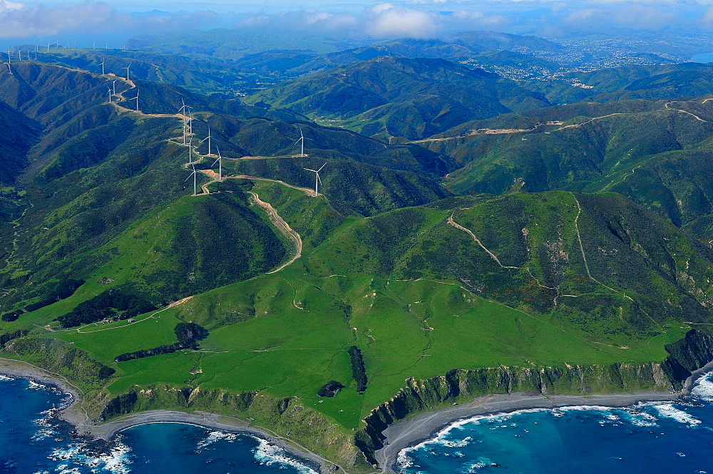 View of Wellington from the air, North Island, New Zealand, Pacific 