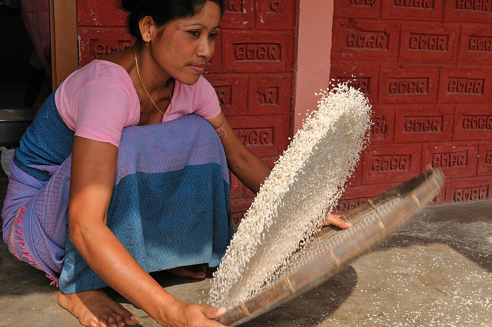 Sieving rice, Assam, India, Asia