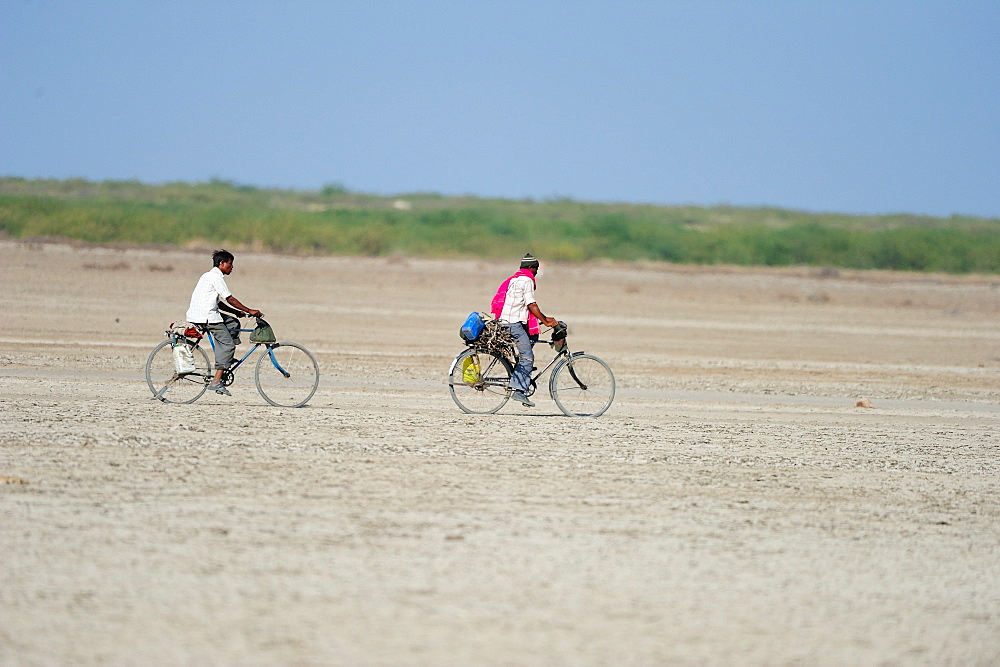 In rural India men go on bicycles to far off towns for work, Gujarat, India, Asia