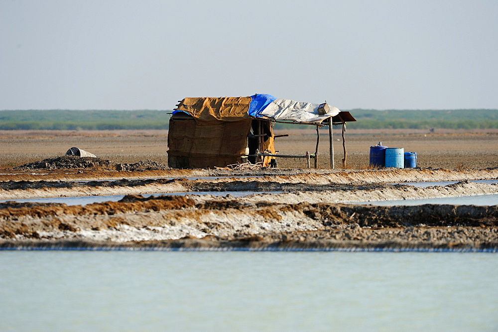 Thatched hut, home of the salt workers in Little Rann of Kutch, Gujarat, India, Asia 