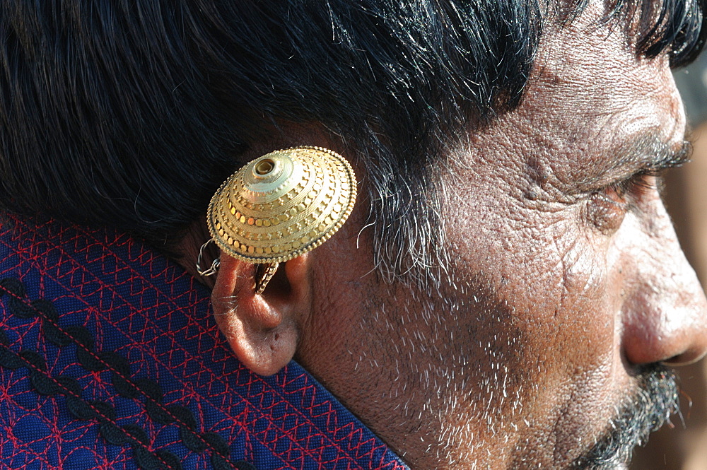 Gold ear ring worn by a Maldhari Gujjar, Gujarat, India, Asia