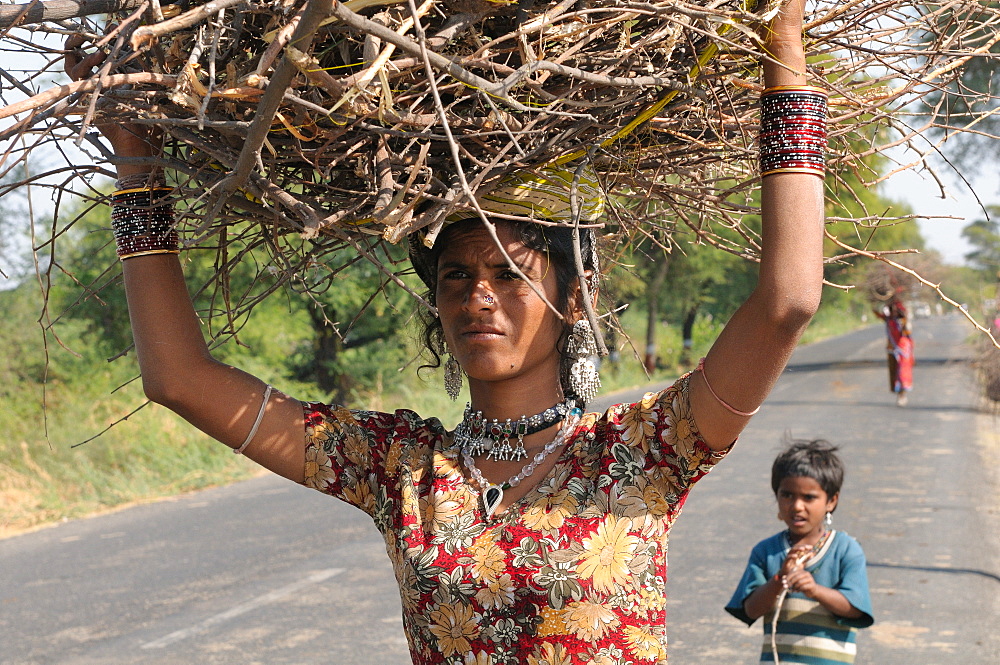 Mir tribal women carrying firewood, Gujarat, India, Asia