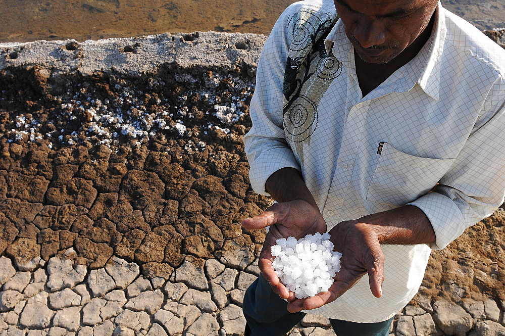 Fresh salt crystals from rural Gujarat, India, Asia