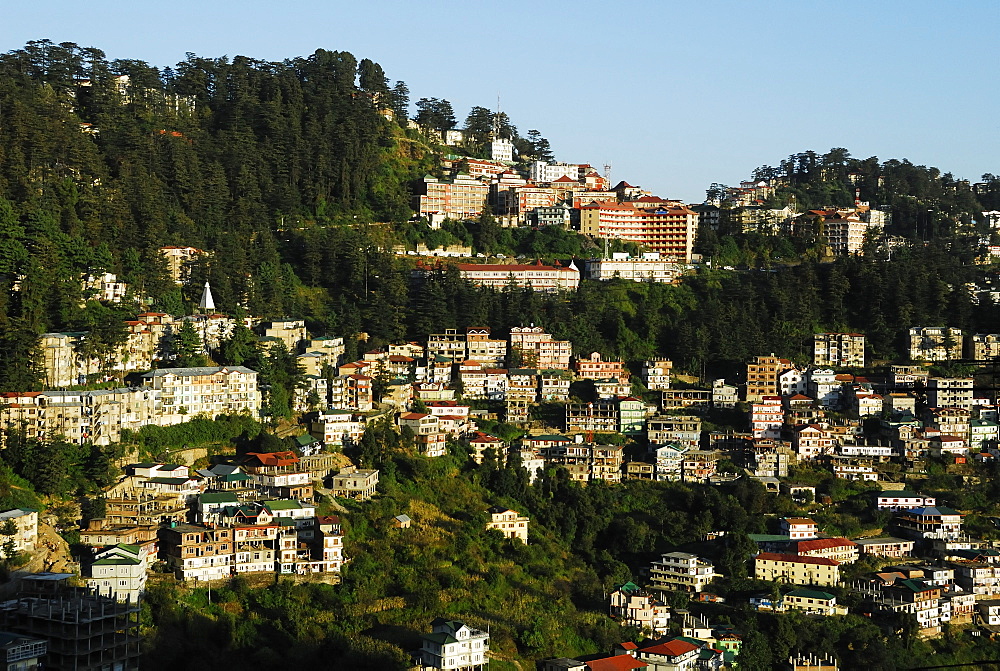 View of Shimla houses, Shimla, Himachal Pradesh, India, Asia 