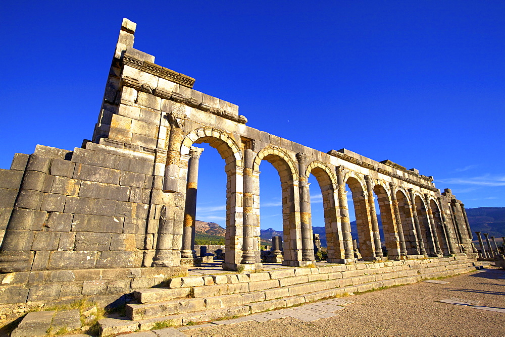 Excavated Roman City, Volubilis, Morocco, North Africa