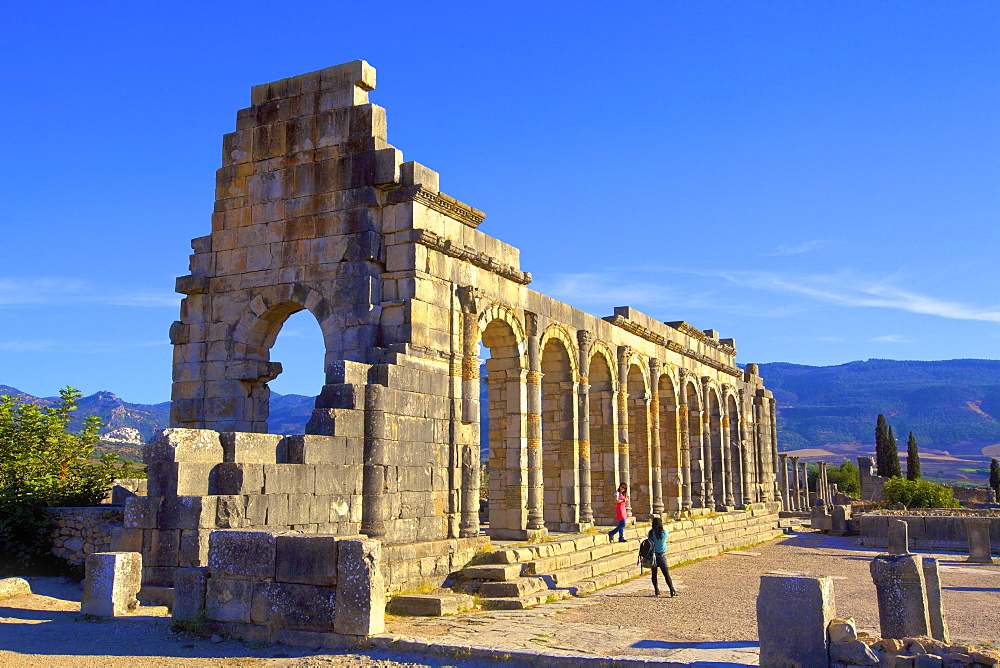 Excavated Roman City, Volubilis, UNESCO World Heritage Site, Morocco, North Africa, Africa