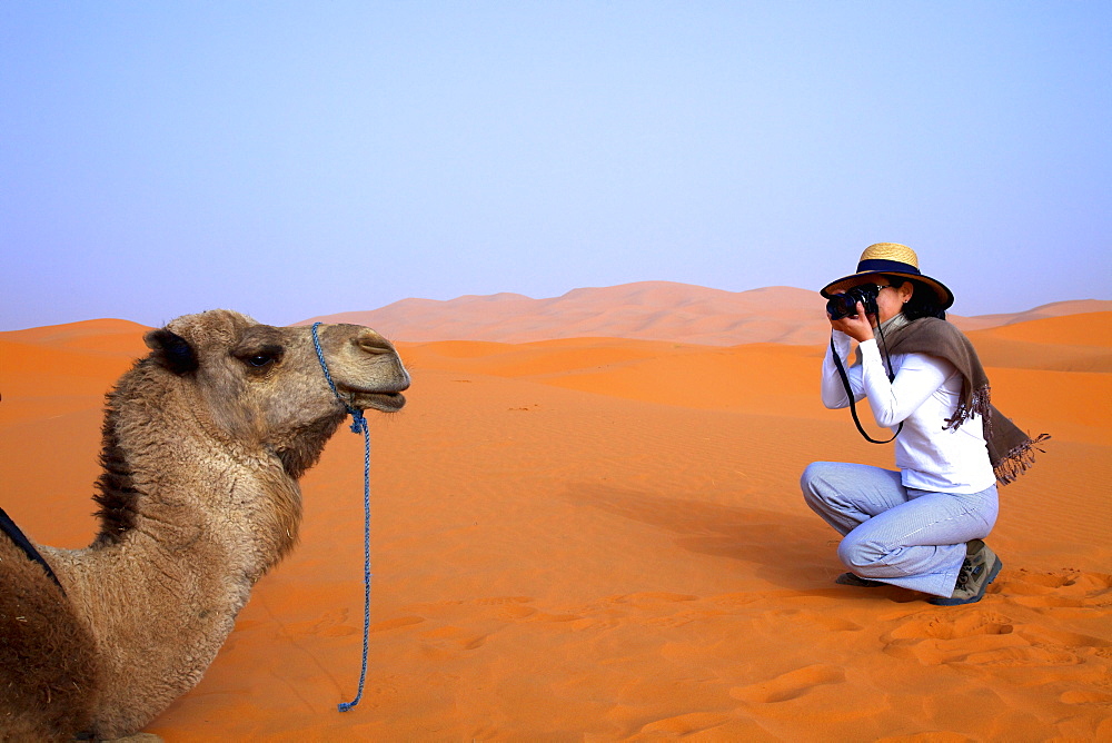 Tourist in desert taking photographs, Merzouga, Morocco, North Africa, Africa