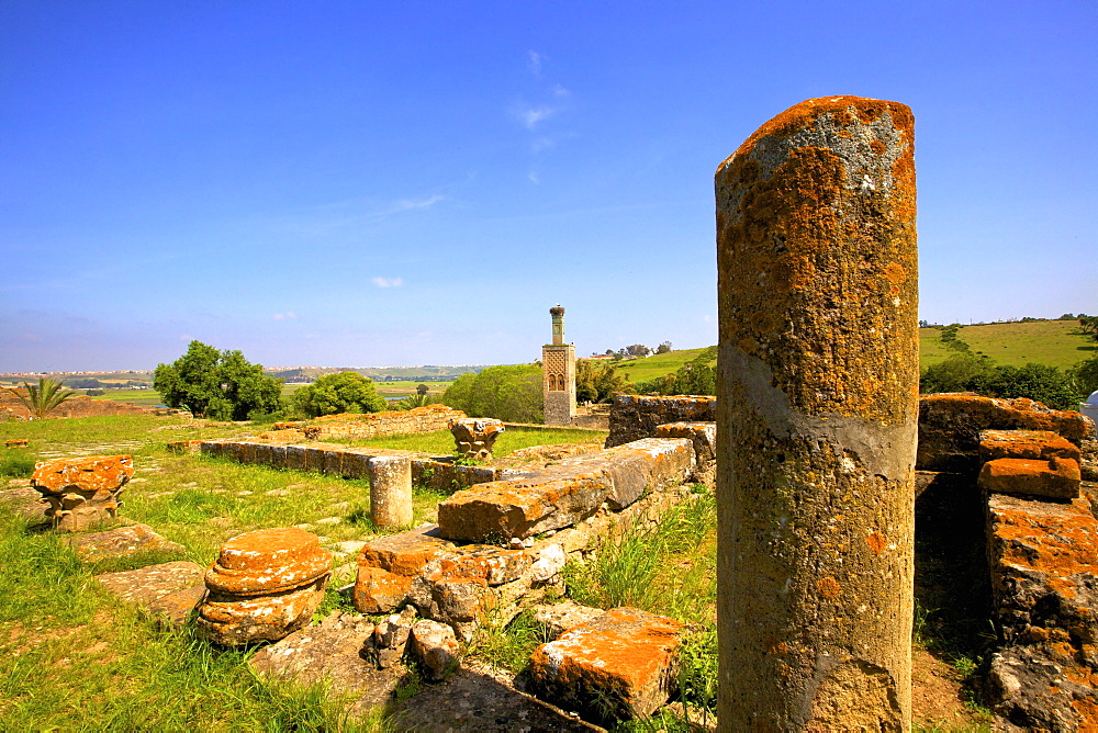 The ruins of Chellah with minaret, Rabat, Morocco, North Africa, Africa