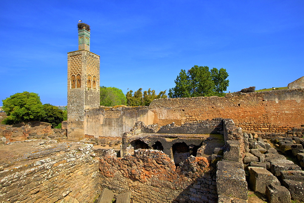 The ruins of Chellah with minaret, Rabat, Morocco, North Africa, Africa