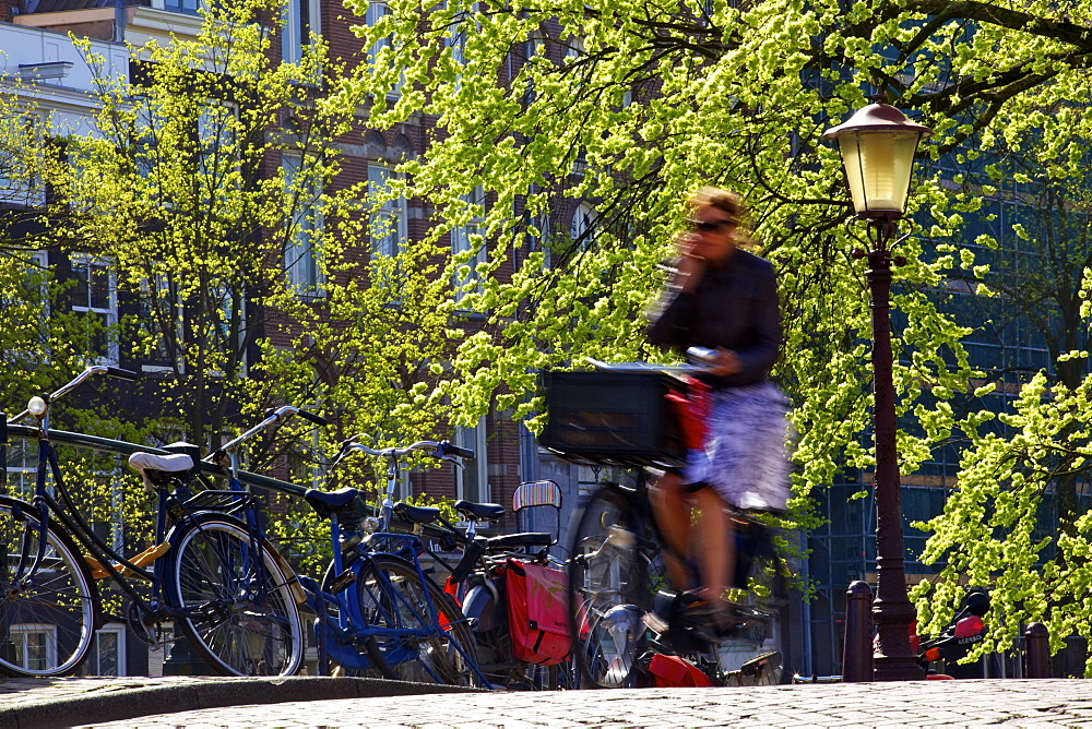 Cyclist on bridge over canal, Amsterdam, Netherlands, Europe