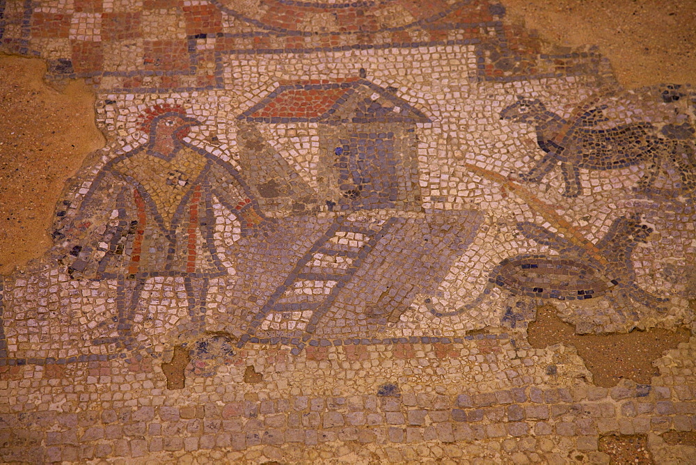 Mosaics at Brading Roman Villa, Brading, Isle of Wight, England, United Kingdom, Europe