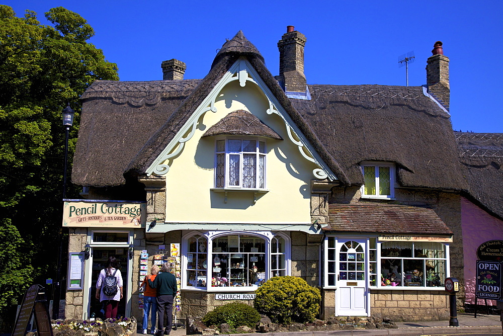 Tea Room and Gift Shop, Shanklin, Isle of Wight, England, United Kingdom, Europe