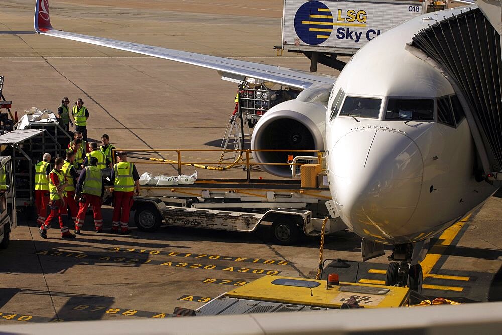 Turkish Airlines aircraft and baggage handlers, Terminal 1, Airport, Manchester, England, United Kingdom, Europe