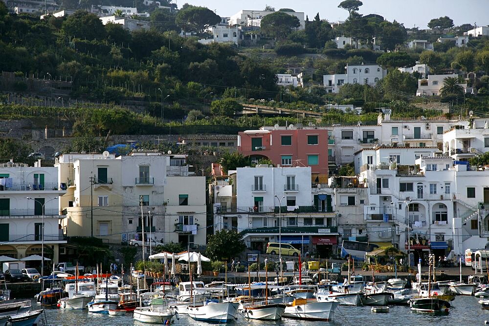 Fishing boats in Marina Grande, Capri, Campania, Italy, Europe