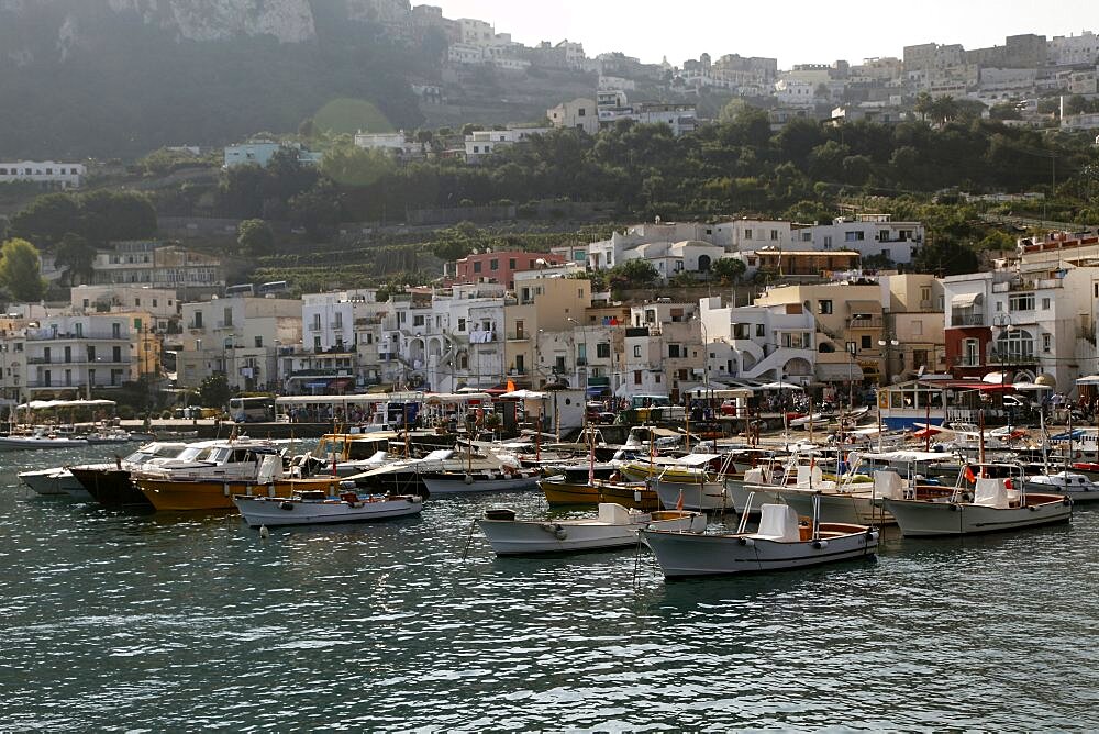 Pleasure boats in Harbour, Capri, Campania, Italy, Europe