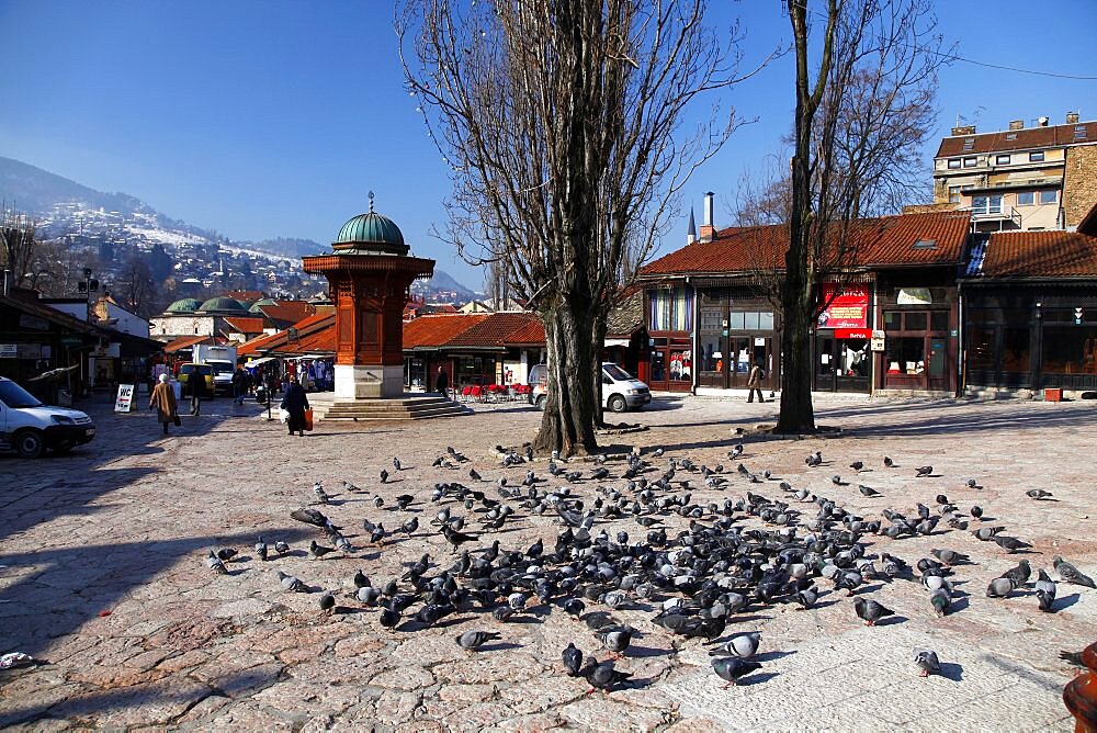 Pigeons at Sebilj Fountain, Sarajevo, Bosnia, Bosnia and Herzegovina, Europe