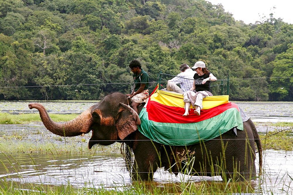 Elephant ride, Sigiriya, Sri Lanka, Asia