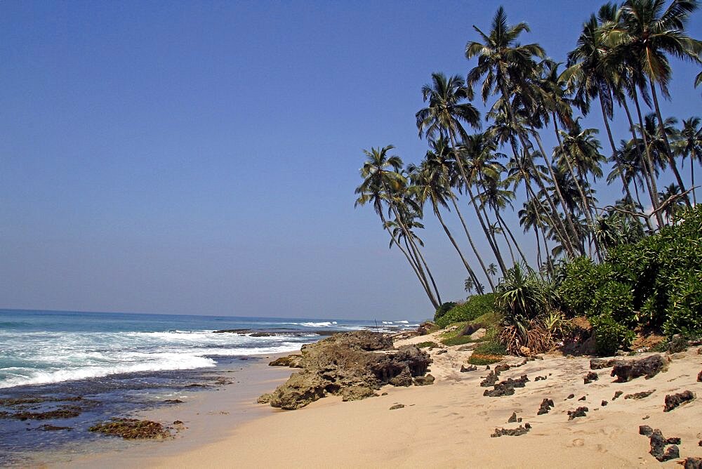 Indian Ocean beach and coconut palms, Midigama, Sri Lanka, Asia