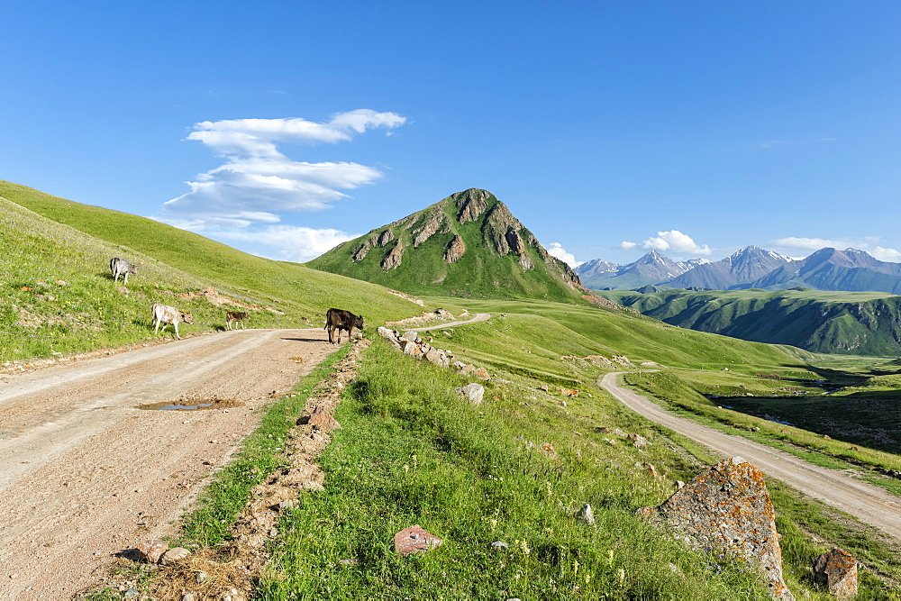 Gravel Road across Naryn Gorge, Naryn Region, Kyrgyzstan, Central Asia, Asia