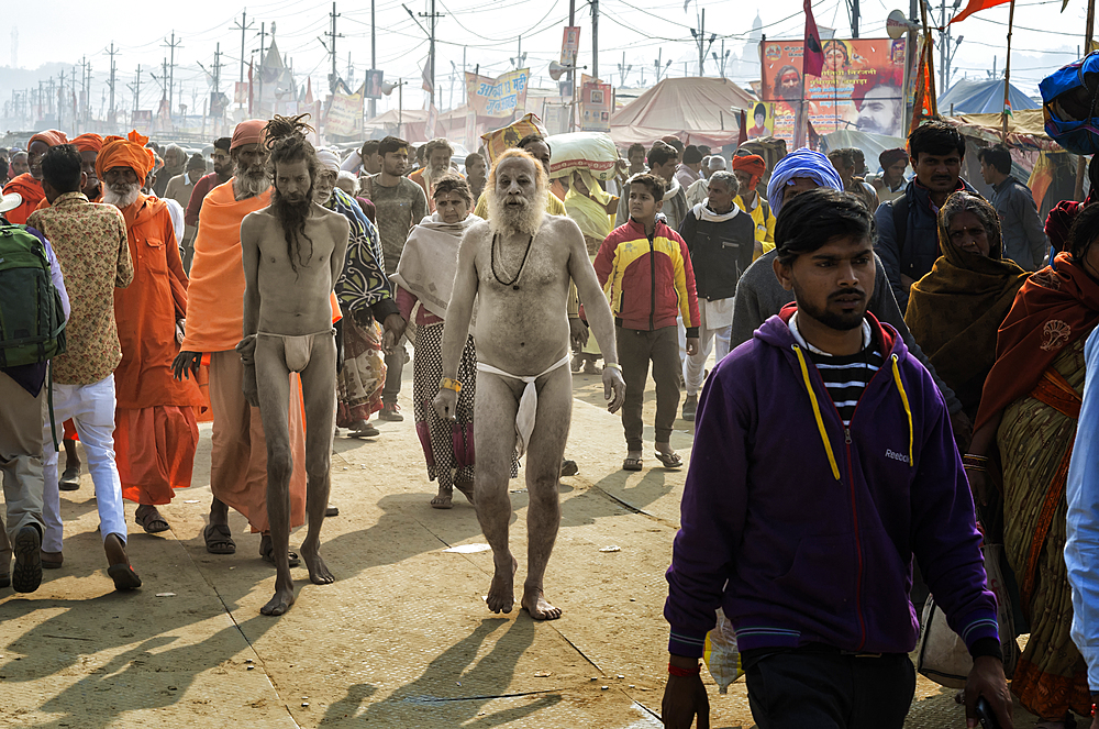 Sadhus walking between pilgrims, Allahabad Kumbh Mela, World's largest religious gathering, Allahabad, Uttar Pradesh, India, Asia