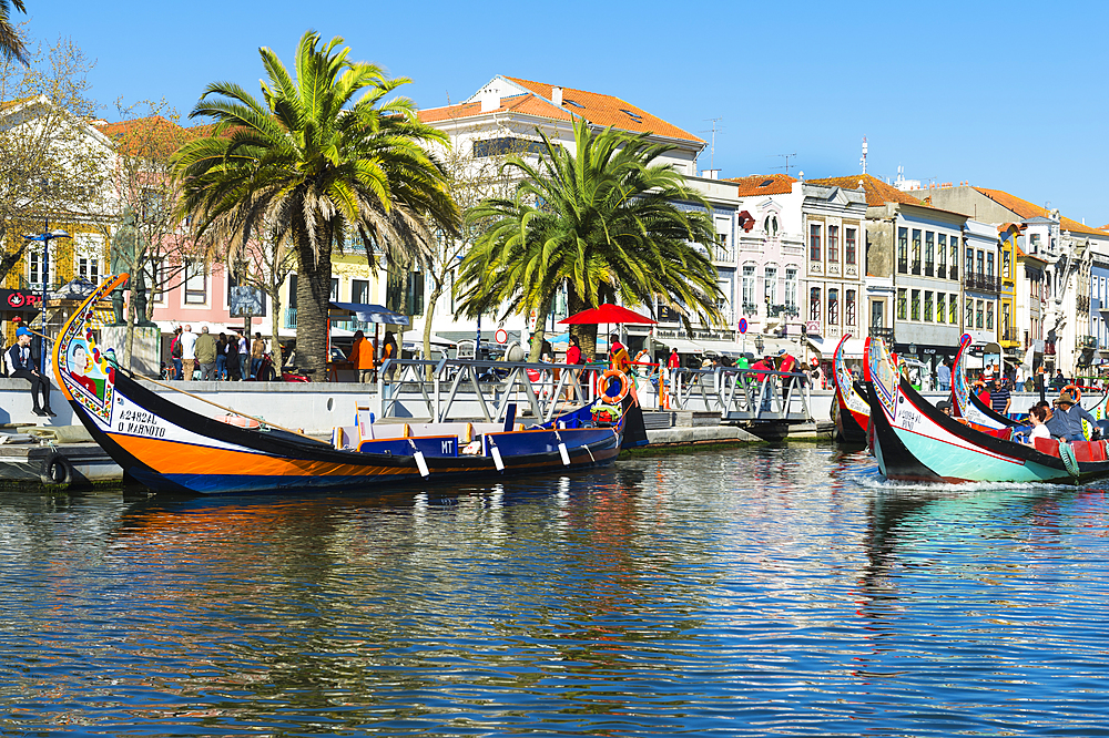 Moliceiros moored along the main canal, Aveiro, Venice of Portugal, Beira Littoral, Portugal, Europe