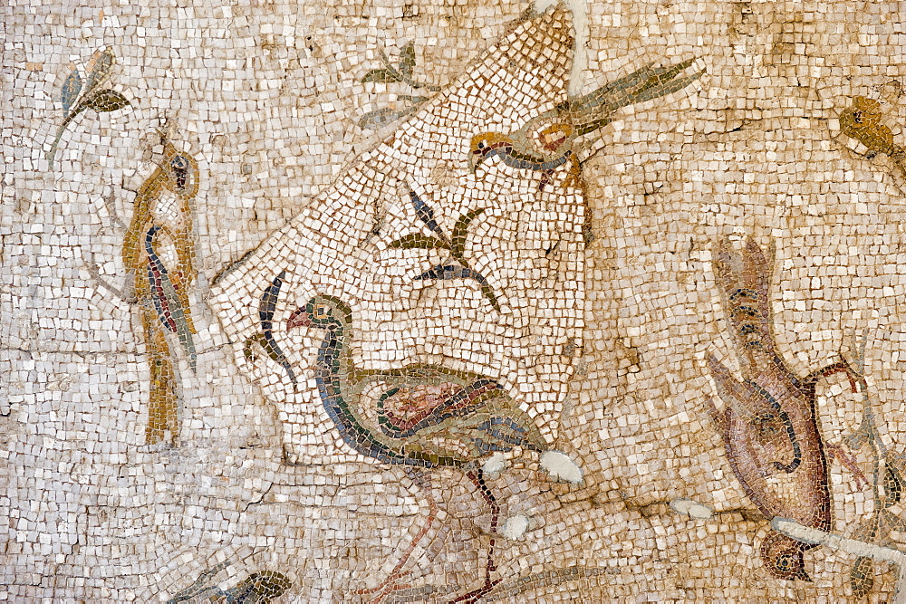 Mosaic of birds and flowers from Daphne (Harbiye), 2nd century AD, Hatay Archaeology Museum, Antioch, Hatay province, Southwest Turkey, Anatolia, Turkey, Asia Minor, Eurasia 