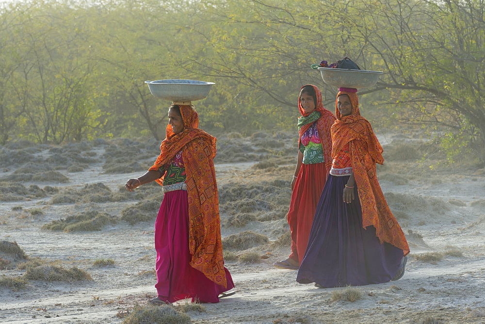 Fakirani women in traditional clothes walking in the desert with basins on their heads, Great Rann of Kutch Desert, Gujarat, India, Asia