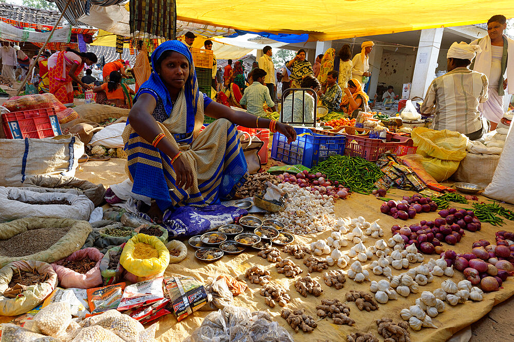 Kanha street market, Madhya Pradesh State, India, Asia