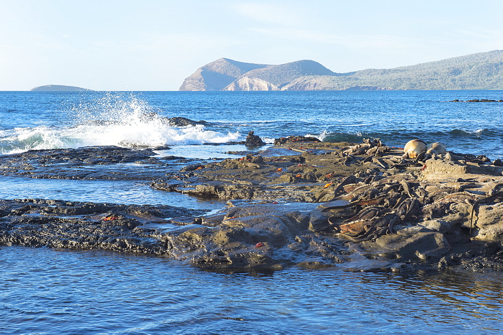 Waves breaking on the coast of Puerto Egas, Santiago Island, Galapagos, UNESCO World Heritage Site, Ecuador, South America