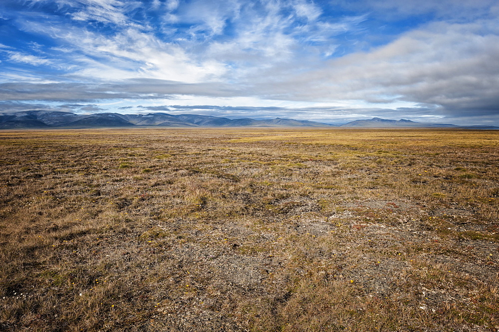 Tundra, Wrangel Island, UNESCO World Heritage Site, Chukotka, Russian Far East, Eurasia