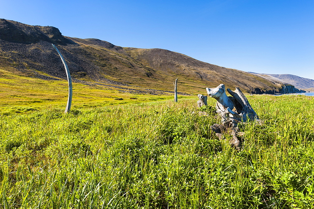 Whale Bone Alley, Ittygran Island, Chukotka, Russia, Eurasia