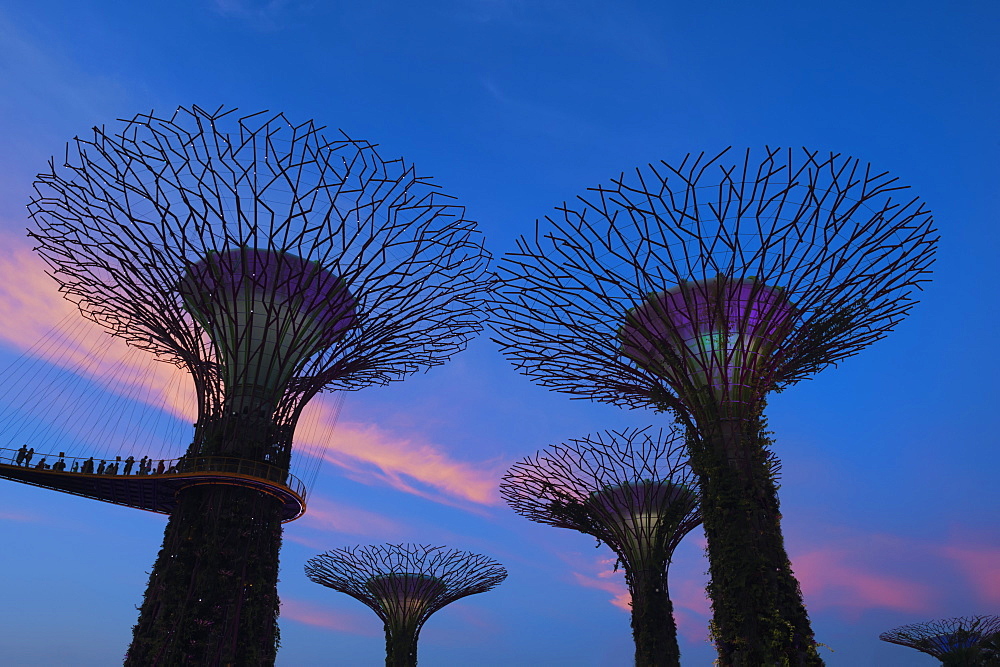 Gardens by the Bay at night, Singapore, Southeast Asia, Asia