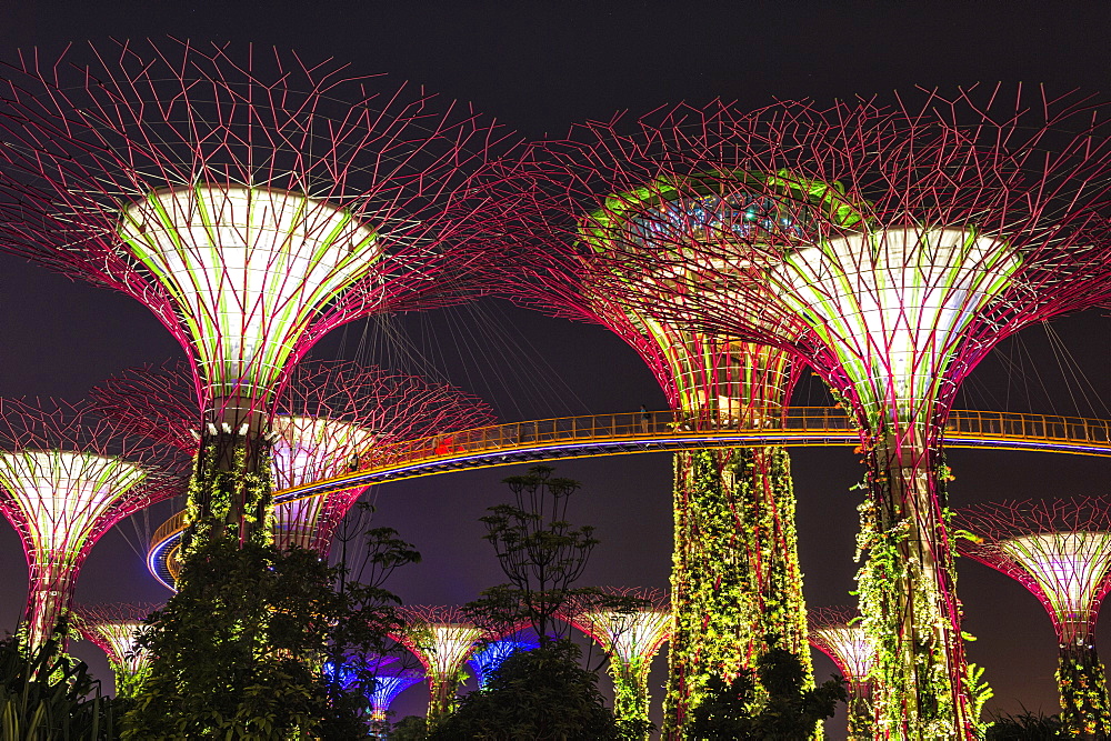 Gardens by the Bay at night, Singapore, Southeast Asia, Asia