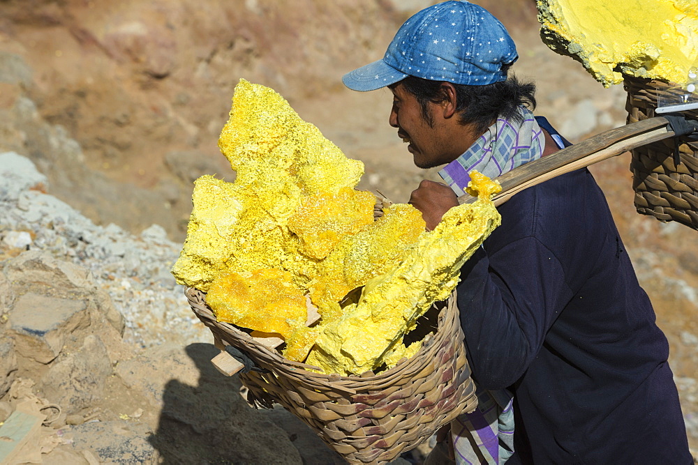 Sulphur carriers climbing out of Kawah Ijen volcano (Ijen crater), Banyuwangi, East Java, Indonesia, Southeast Asia, Asia