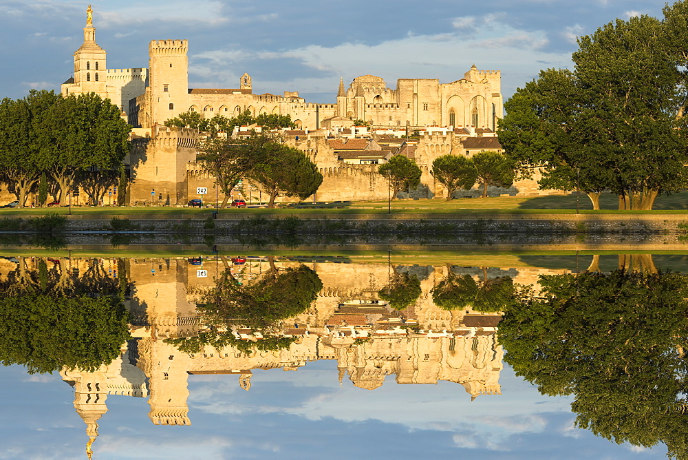 Palais des Papes, UNESCO World Heritage Site, reflected in the River Rhone, Avignon, Vaucluse, Provence, France, Europe